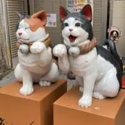 たくまの画像