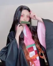 禰豆子 (ねずこ)の画像