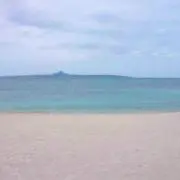おつまみの画像