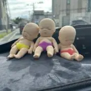 さーちゃんの画像
