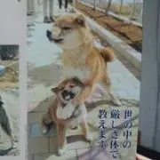 さくらママ(*^^*)