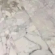rの画像