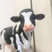 kuu