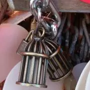 やーぽの画像