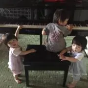 ニゲラの画像