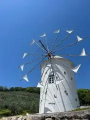 むぎむぎの画像