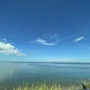 miniの画像