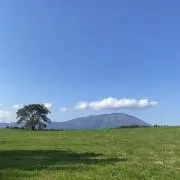 Kの画像