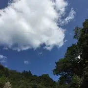 happy　♡基本翌日発送♡の画像