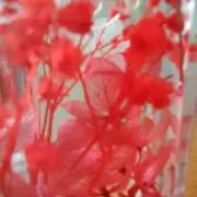mi