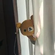 とまと