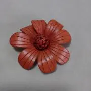 レオンの画像