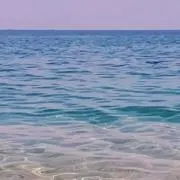 いおり、の画像