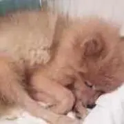 MAKIKOの画像