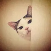 KUROMIRION·͜·ᰔᩚの画像