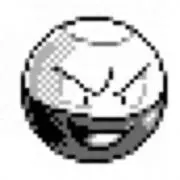 マルマインの画像