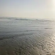 ルミの画像