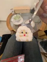 aの画像