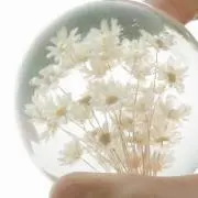 ここ。【プロフ必読】の画像