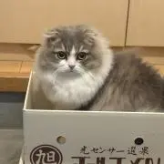 うしまるの画像