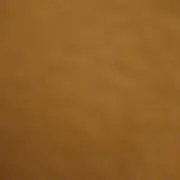 sm