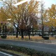 Zeozeo
