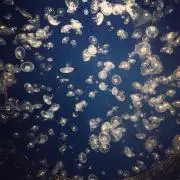 レギオン