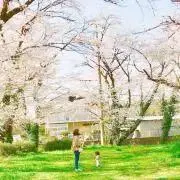 chisa♡の画像