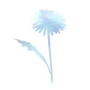 さくらの画像