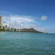 ちはやの画像