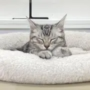 みのるほの画像