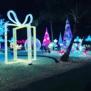タヌキチの画像