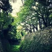 ハルの画像