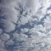 ぱぴこの画像