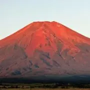 さなりんの画像