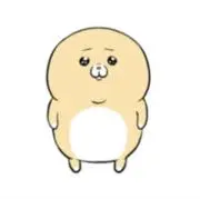 きーちゃんの画像