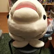 イルゴンの画像