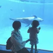 Rina＠48時間以内発送の画像