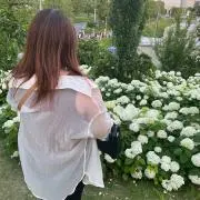 yuuhi