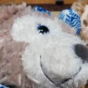 Cの画像