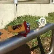 はとめ