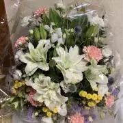 ちょこ