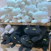 ゆっこの画像