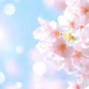 ゆうきの画像