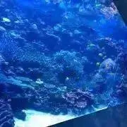るなかなの画像