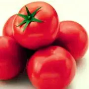 さくらの画像