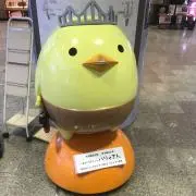 ボンの画像