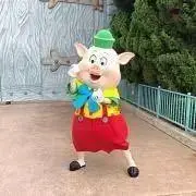 ごんの画像