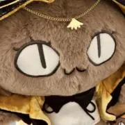 はかせの画像