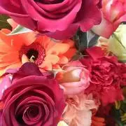 marimirai プロフ必読してね♡の画像